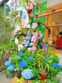 春回大地，百花齊放