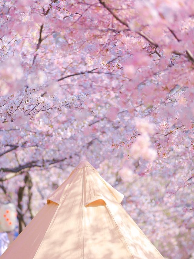 煙台