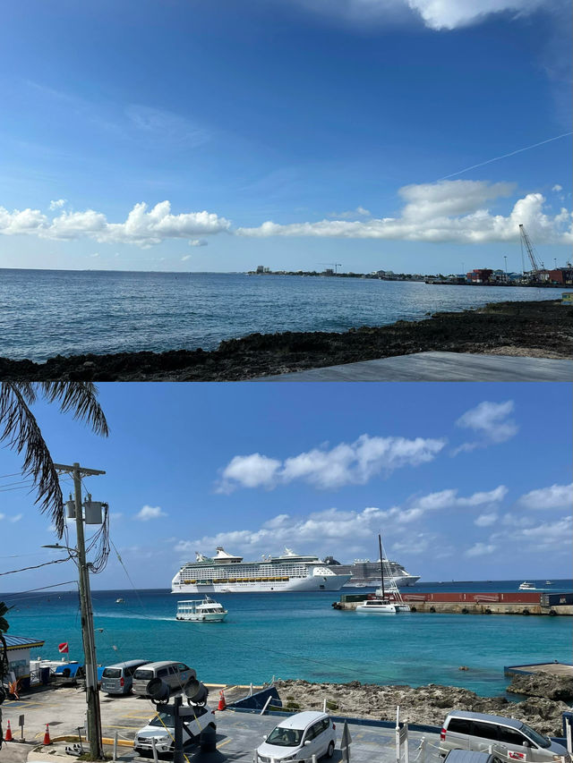 赴大開曼島，共赴繁花與碧海的浪漫之約