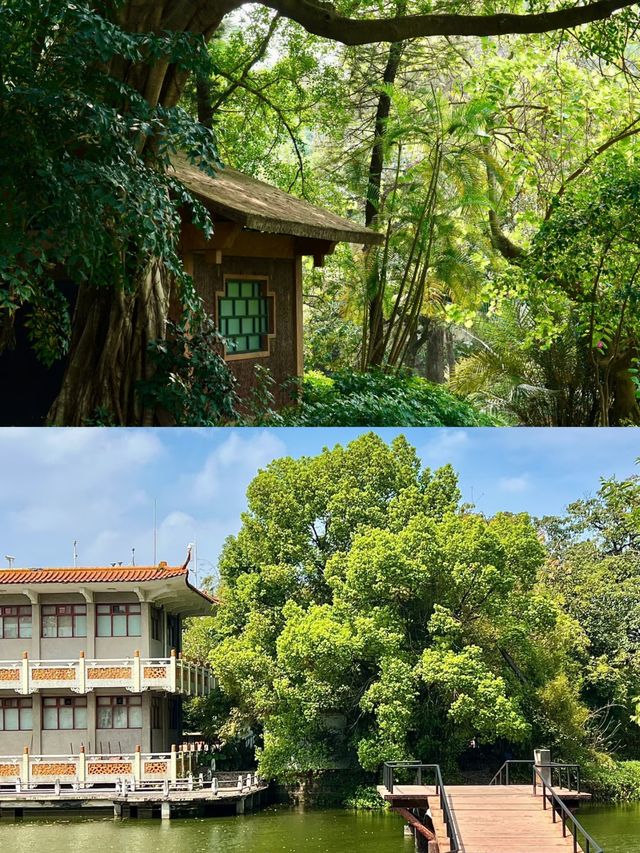 真羨慕佛山人！竟然藏著這麼美的公園不說