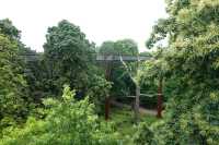 Exploring the Treetop Walkway at Kew Gardens