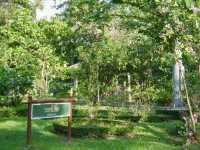綠蔭與湖光：瓦琦拉班哲塔公園的靜謐時光
