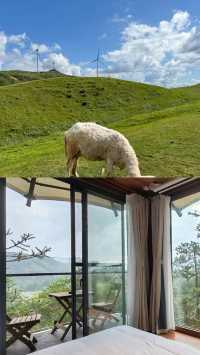 郴州你真係...,呢度嘅景色真係好似詩入面先至有咁靚