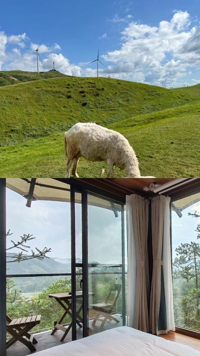 郴州你真係...,呢度嘅景色真係好似詩入面先至有咁靚 郴州你真係...,呢度嘅景色真係好似詩入面先至有咁靚