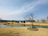 上海辰山植物園