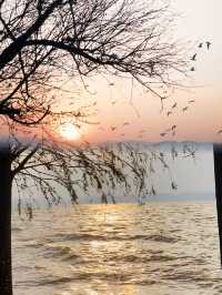 不是在海邊而是在撈魚河濕地公園！！