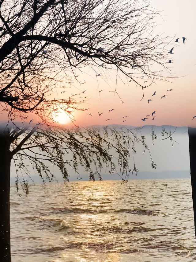 不是在海邊而是在撈魚河濕地公園！！