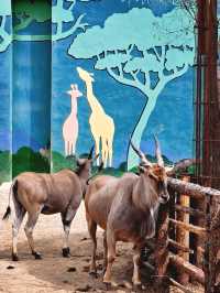 北京1.5小時直達！辛瑪森林動物樂園全攻略