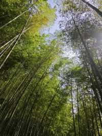 飛瀑如虹，山水共吟——漫遊乾瀧溝