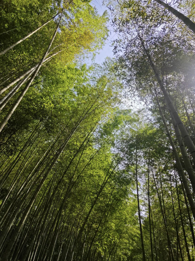 飛瀑如虹，山水共吟——漫遊乾瀧溝