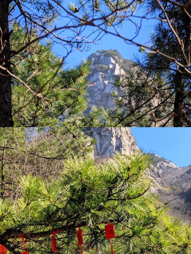 誤闖現實版綠野仙蹤 天堂寨吸氧之旅