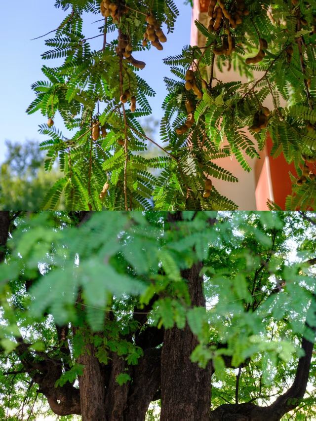 私藏冷門寶藏地，真怕它火出圈！