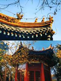 繁花落夢長安城（六）——西安碑林博物館