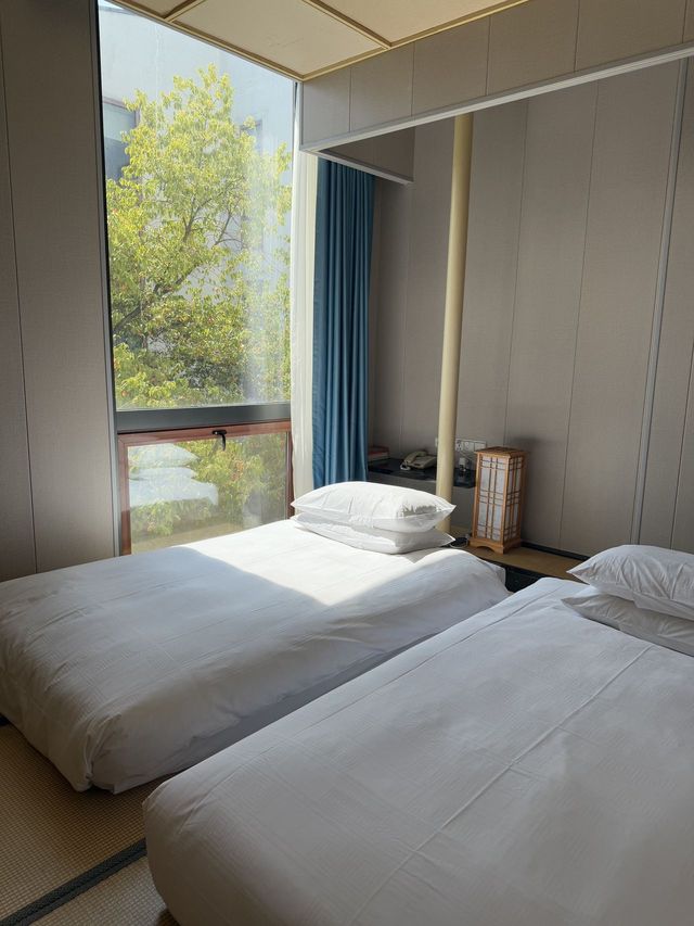 週末一齊去樹山浸溫泉