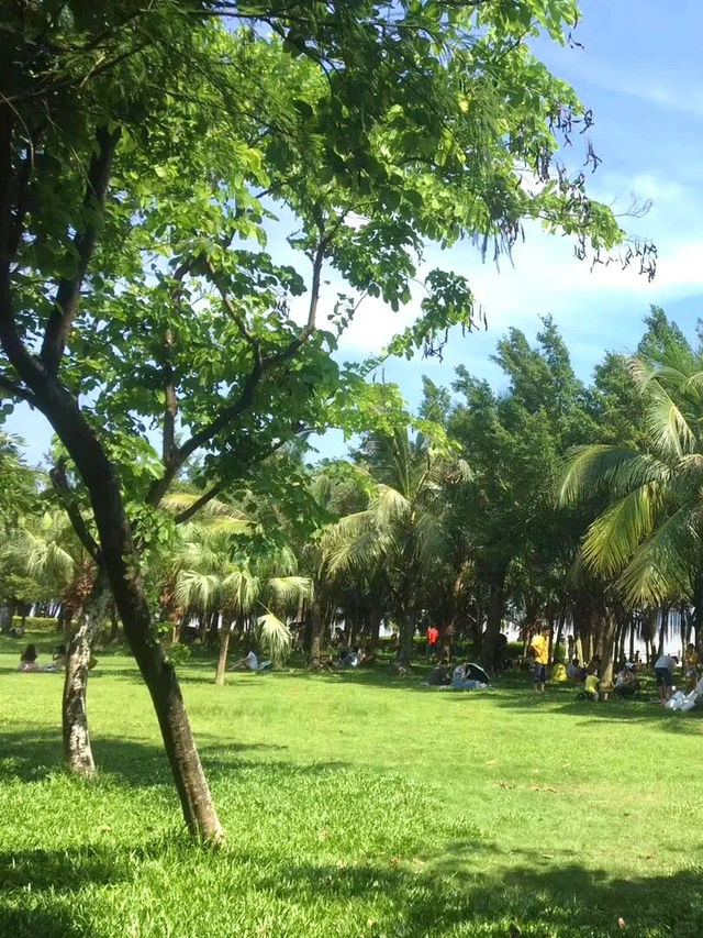 紅樹林海濱公園，超級愜意的深圳海邊綠洲✨