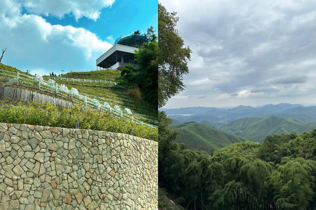 莫干山最全攻略 | 逃離城市的心靈桃源