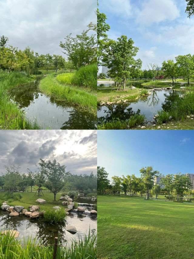 太倉市民公園｜太倉免費寶藏地