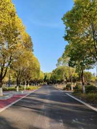 南京城東的「超級綠肺」——麒麟中央公園