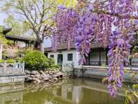Relaxing Free Half-Day Tour at Xixi Wetland (1-Hour Journey Guide)