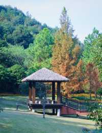 寧波漫遊記｜山水與人文交織的寶藏城市