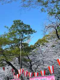 東京上野恩賜公園——一個讓人流連忘返的綠意角落