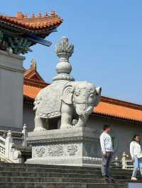  珠海普陀寺：塵世中的清淨梵境