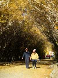 新疆天山之南（南疆）之旅