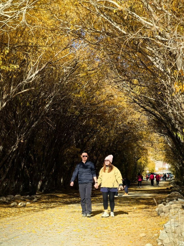 新疆天山之南（南疆）之旅