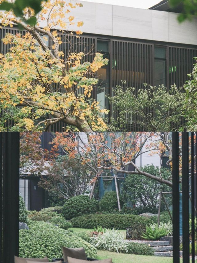 襄陽超酷酒店終於被我找到了