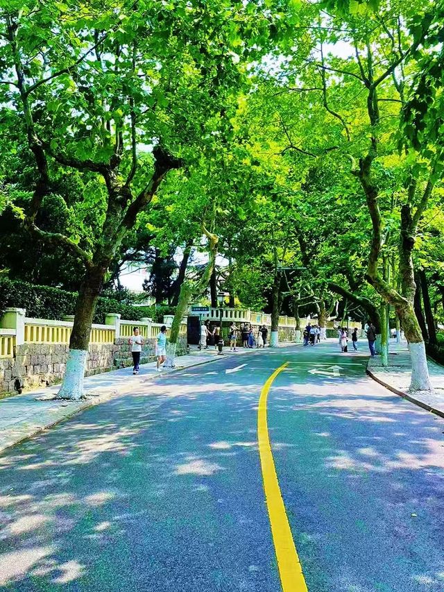 青島的顏值擔當：八大關風景區