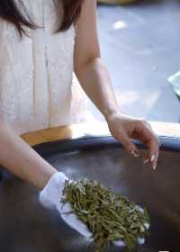 上春山，採春茶杭州採茶新體驗！