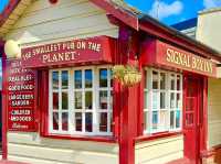 Sip In Style At The Planet’s Smallest Pub!