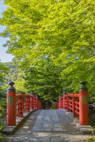 Places in Izu, Japan Expected to Be a Hit This Summer