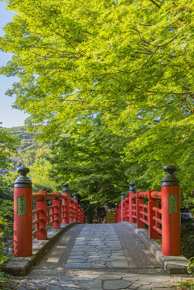 日本伊豆預計今年夏天會成為爆紅的旅遊熱點