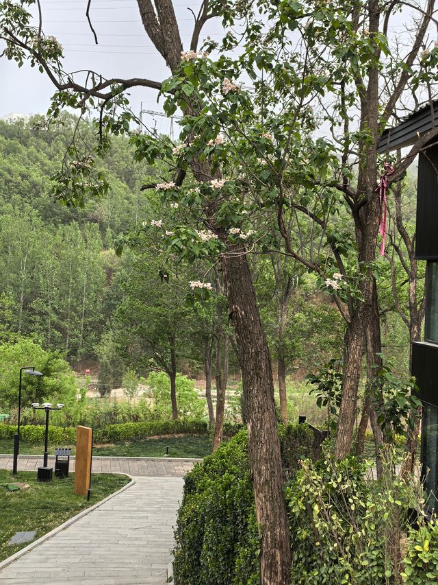 環境雅致的歷山.左岸民宿