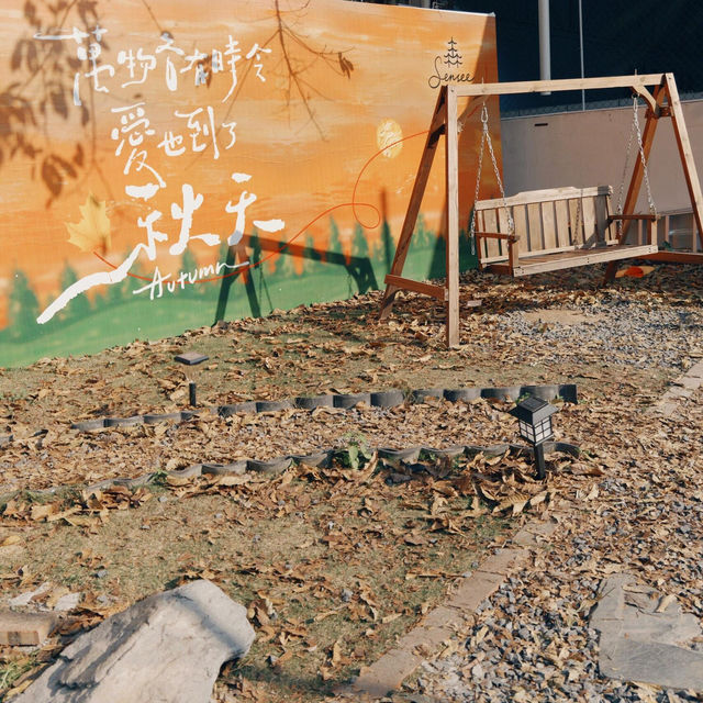中山🌳🍋‍🟩還會再來曬n次太陽☕森系の咖啡