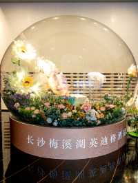 長沙 ｜從INDIGO出發，探索生活的星辰與曠野