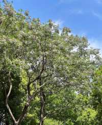 虎丘濕地公園