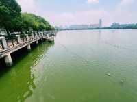 廣東省佛山市順德碼頭：龍舟碼頭。適合觀光旅遊、度假休閒等！