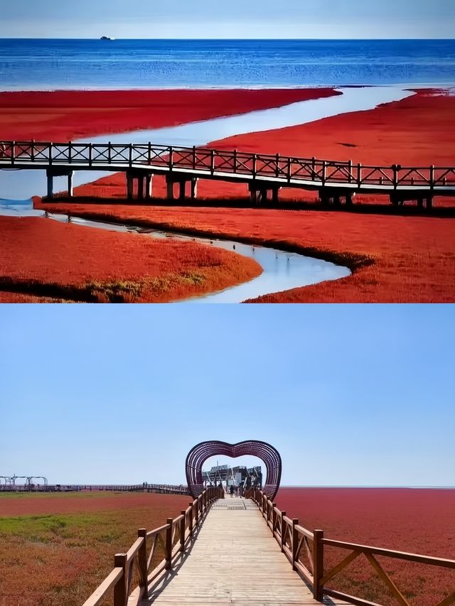 盤錦已回，好開心嘅旅程。