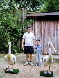 新加坡動物園會懲罰每一個唔做攻略嘅人
