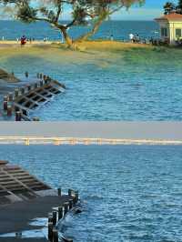 海上花園·詩意廈門