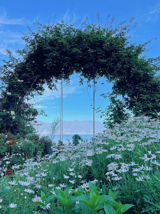 唔小心闖入咗大理嘅莫奈花園，靚到講唔出嘢~