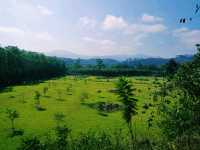 Kunming Botanical Garden: A Botanical Paradise in Southwest China