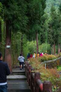 熊貓起源地鄧池溝奇妙之旅，真係好好玩