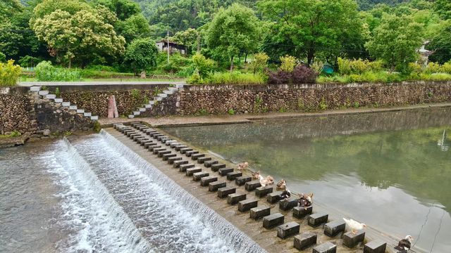 楠溪江真係靚到爆