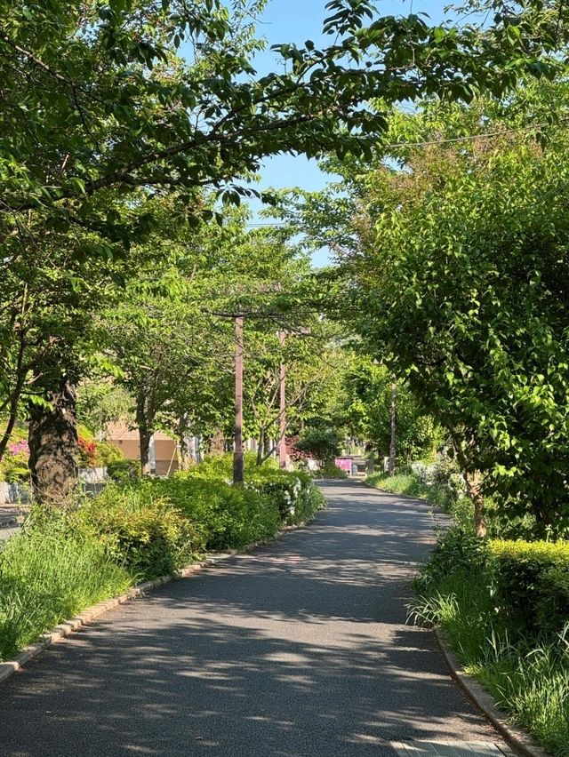 東京呑川親水公園交通攻略