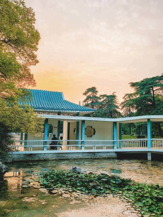 合肥古逍遙津｜穿越千年的古典徽派公園