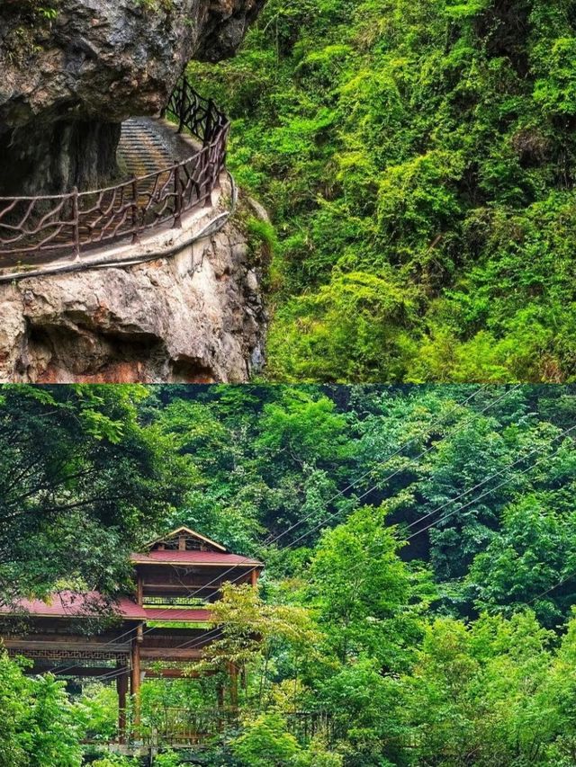 銅仁受罪已回，真係唔建議6月份嚟