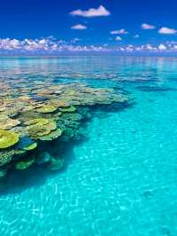 唔使飛馬代！沖繩夏日果凍海寶藏路線